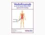 Vedolizumab Biosimilar - Research Grade