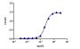 Toripalimab Biosimilar - Research Grade