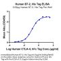 Human B7-2/CD86 Protein (B72-HM486)