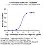 Cynomolgus/Rhesus macaque BCMA/TNFRSF17 Protein (BCM-CM217)