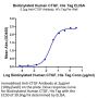 Biotinylated Human CTGF/CCN2 Protein (CGF-HM401B)