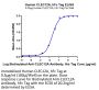 Human CLEC12A/MICL/CLL-1 Protein (CLE-HM22A)