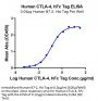 Human CTLA-4/CD152 Protein (CTL-HM241)