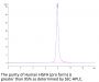 Human HGFA Protein (pro form)  (HGF-HM10A)