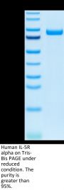 Human IL-5 R alpha/CD125 Protein (ILR-HM25R)