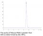 Mouse PRLR Protein (PLR-MM101)