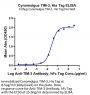 Cynomolgus Tim-3/HAVCR2 Protein (TIM-CM131)