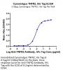 Cynomolgus TNFR2/CD120b/TNFRSF1B Protein (TNF-CM1R2)