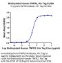 Biotinylated Human TNFR2/CD120b/TNFRSF1B Protein (Primary Amine Labeling)  (TNF-HM1R2B)