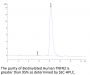 Biotinylated Human TNFR2/CD120b/TNFRSF1B Protein (Primary Amine Labeling)  (TNF-HM1R2B)