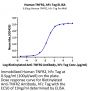 Human TNFR2/CD120b/TNFRSF1B Protein (TNF-HM2R2)