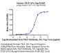 Human TSLP Protein (TSP-HM201)