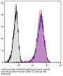 Mouse Anti-Human CD44-FITC